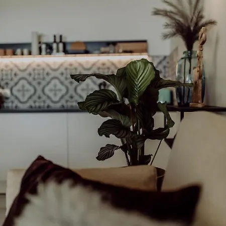 Vier Maederlhaus אבן אים פונגאו