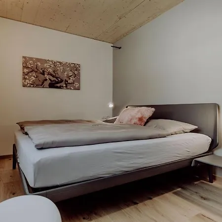 Vier Maederlhaus * Eben Im Pongau